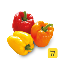 Product: Color pepper bell